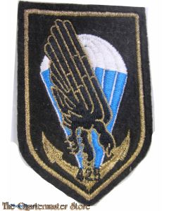 France - Badge 425th CCQG (HQ & Command Co.) (Marine Troops)
