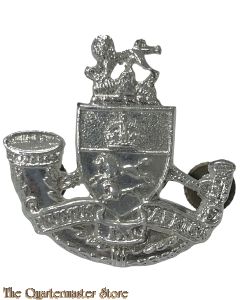 Badge Durban light Infantry South Africa 