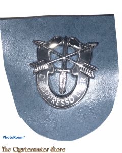 Beret flash 19 Special Forces Group (variation)