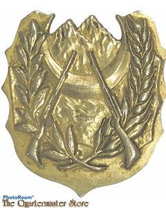 Algeria - Cap badge National Army