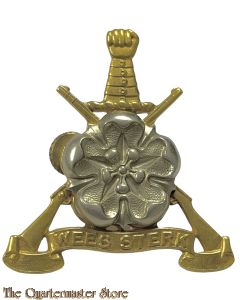 Badge Regiment West Rand South Africa post 1962