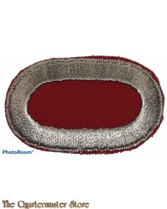 US Army parachute oval 307th Eng Bat 