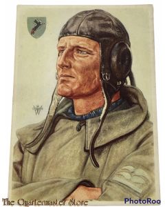 Postkarte W. Willrich Stukaflieger