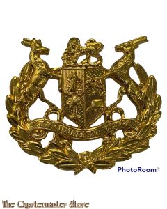 Badge Warrant Officer 1  South Africa (gilded metal)