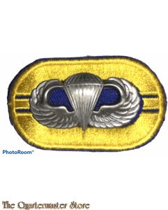 US Army parachute oval with wing 504 Parachute Infantry Regiment 2nd Bat