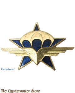 France - Badge 1er RCP (Drago)