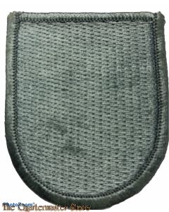 Beret flash 19th Special Forces Group