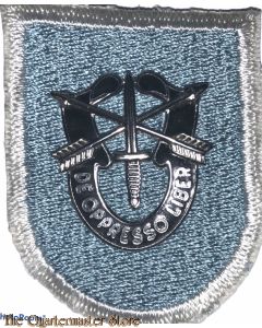 Beret flash 19 Special Forces Group