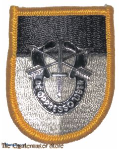 Beret flash Special warfare training group