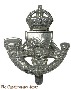 Badge Durban Light Infantry