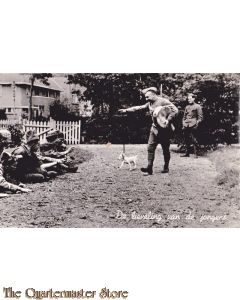 Prent briefkaart 1940 lieveling hond