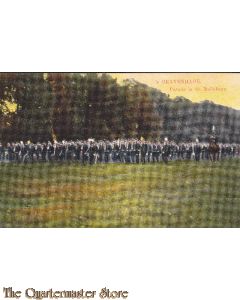 Prent briefkaart 1905 's Gravenhage Parade in de Maliebaan