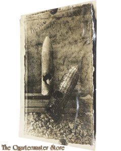 France - Photo 10,5 mit voltreffer