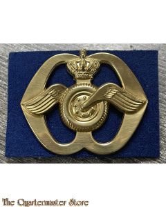 Baret embleem Regiment Aan en Afvoertroepen (7 moeren)