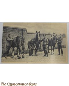 Prent briefkaart mobilisatie 1939 Paard Kameraad