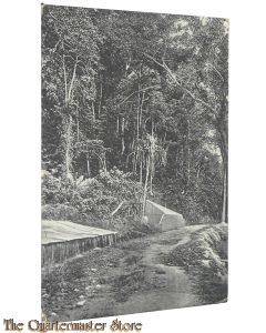 Ansicht - Apenkolonie Sepa (Noordkust Madoera)