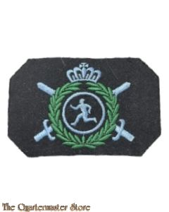 KLu Vaardigheids embleem Sportinstructeur (officier)