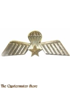 Wing, Netherlands Army 104 Recon Company 