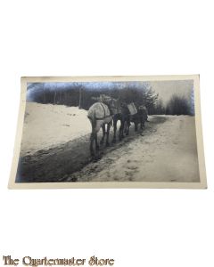 (Feld) Postkarte 1916 Deutsche Kavalerie 