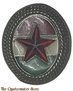 Hungaria - Defense Forces Cap Badge
