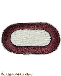 US Army parachute oval 307th Medical Battalion