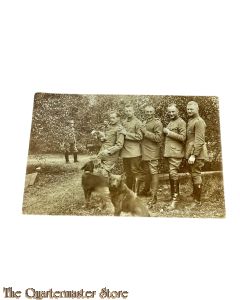 Postkarte/ Photo 1915 4 Deutsche Soldaten mit 2 Hunde