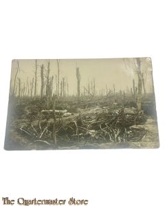 Postkarte/Photo 1917 Die Front mit Laufgraben 