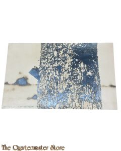 (Feld) Postkarte 1915 Blindganger in einem Baum