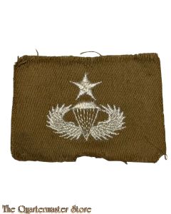 Senior Jumpwing and combat jump star (Vietnam)