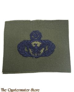 US Air Force Security Police badge (subdued)