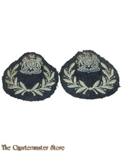 Set Master Aircrew sleeve patches 